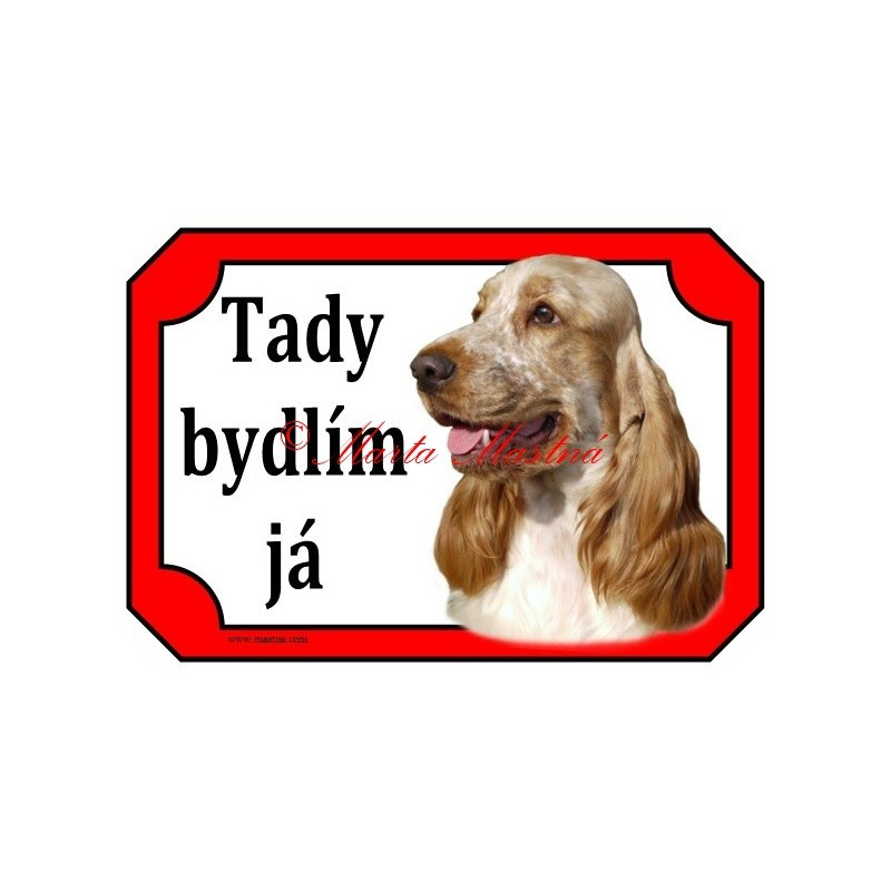 Cedulka kokršpaněl bělouš