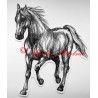 Samolepka kůň