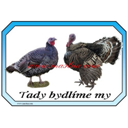 Cedulka krůta, krocan, drůbež