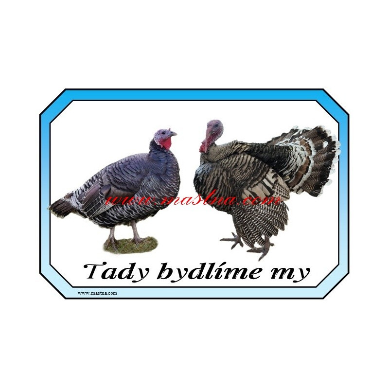 Cedulka krůta, krocan, drůbež