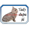 Cedulka králík zakrslý divoký