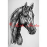 Samolepka kůň teplokrevník, trakén
