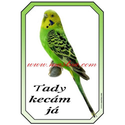 Cedulka andulka, papoušek