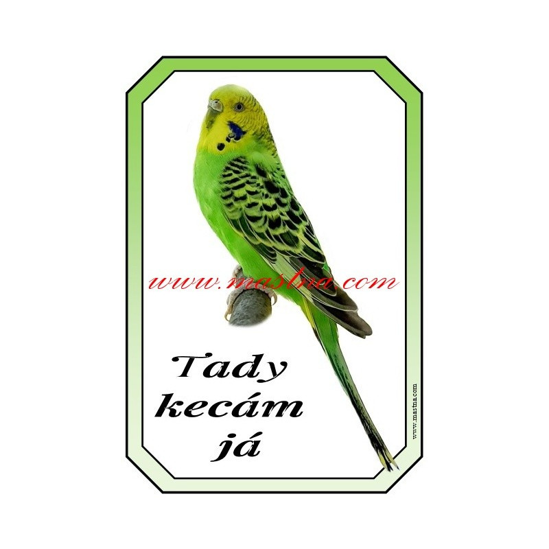 Cedulka andulka, papoušek