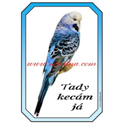 Cedulka andulka, papoušek