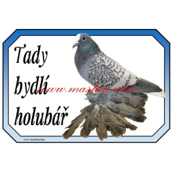 Cedulka holub česká lyska