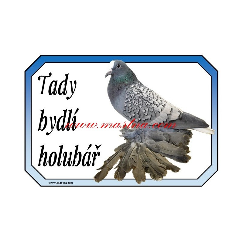 Cedulka holub česká lyska