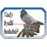 Cedulka holub česká lyska