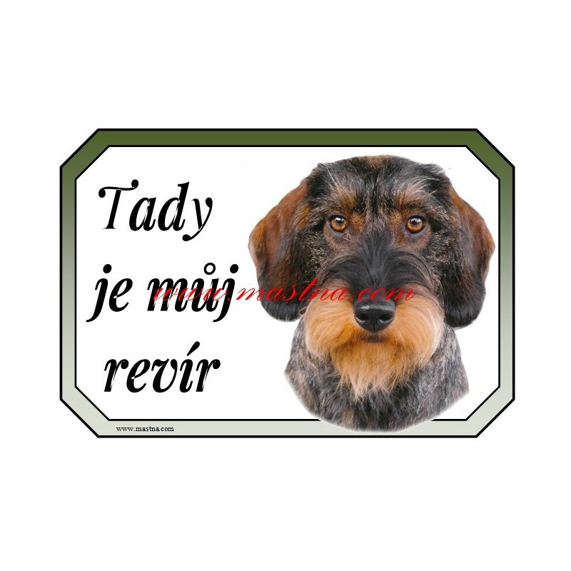 Tabulka jezevčík drsnosrstý