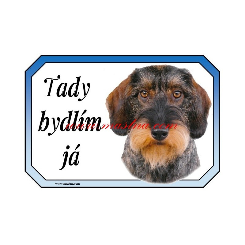 Tabulka jezevčík drsnosrstý