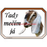 Cedulka koza anglonubijská