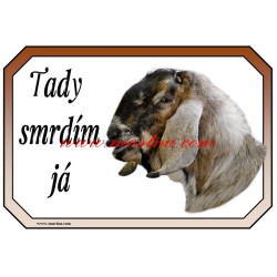 Tabulka kozel anglonubijský