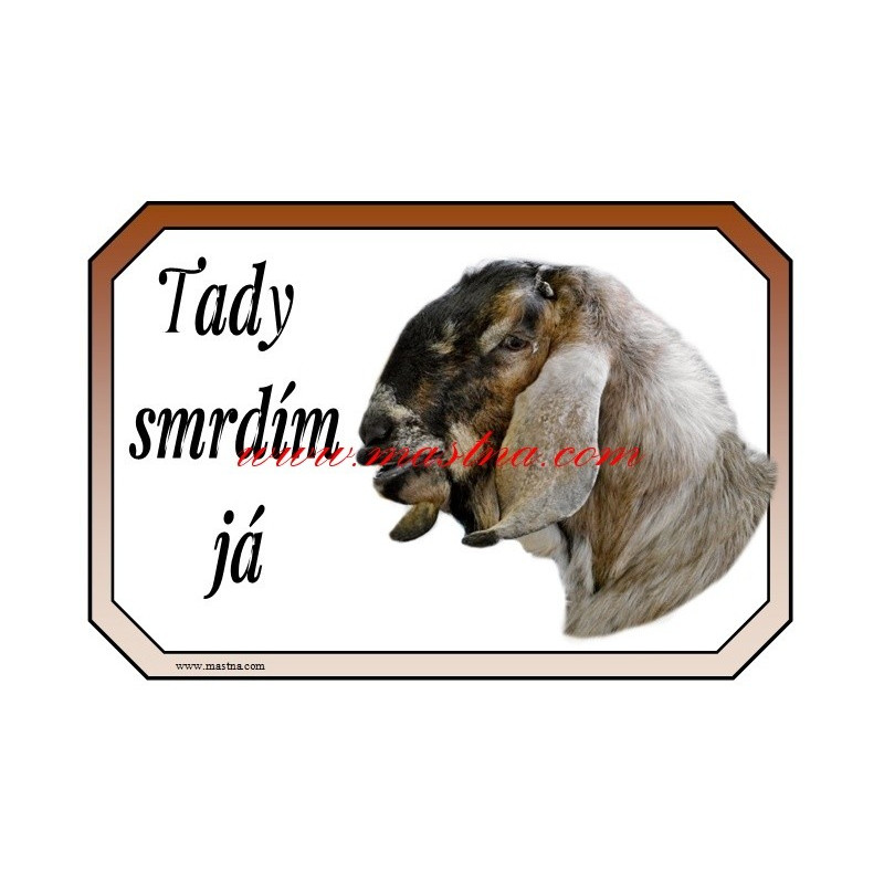 Tabulka kozel anglonubijský