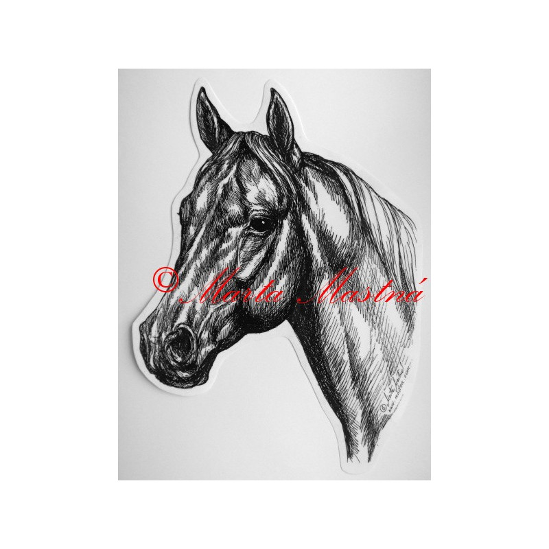 Samolepka kůň plnokrevník