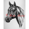 Samolepka kůň plnokrevník