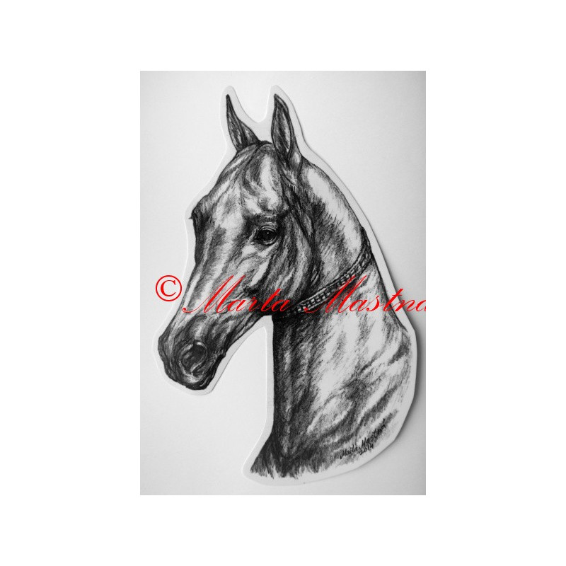 Samolepka kůň turkmenský, achal-teke, achaltekinec