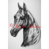 Samolepka kůň turkmenský, achal-teke, achaltekinec