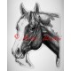Samolepka kůň paint horse, western