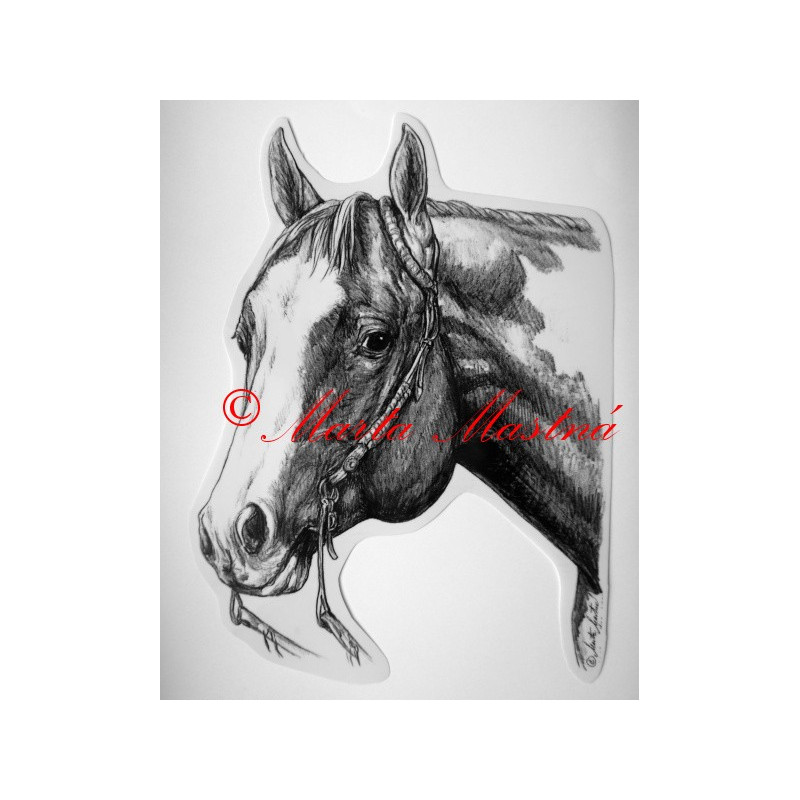 Samolepka kůň paint horse, western