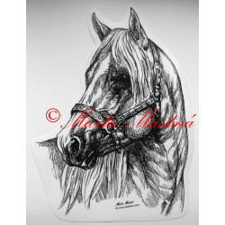 Samolepka kůň quarter horse, western