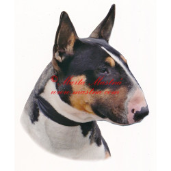 Samolepka bulteriér