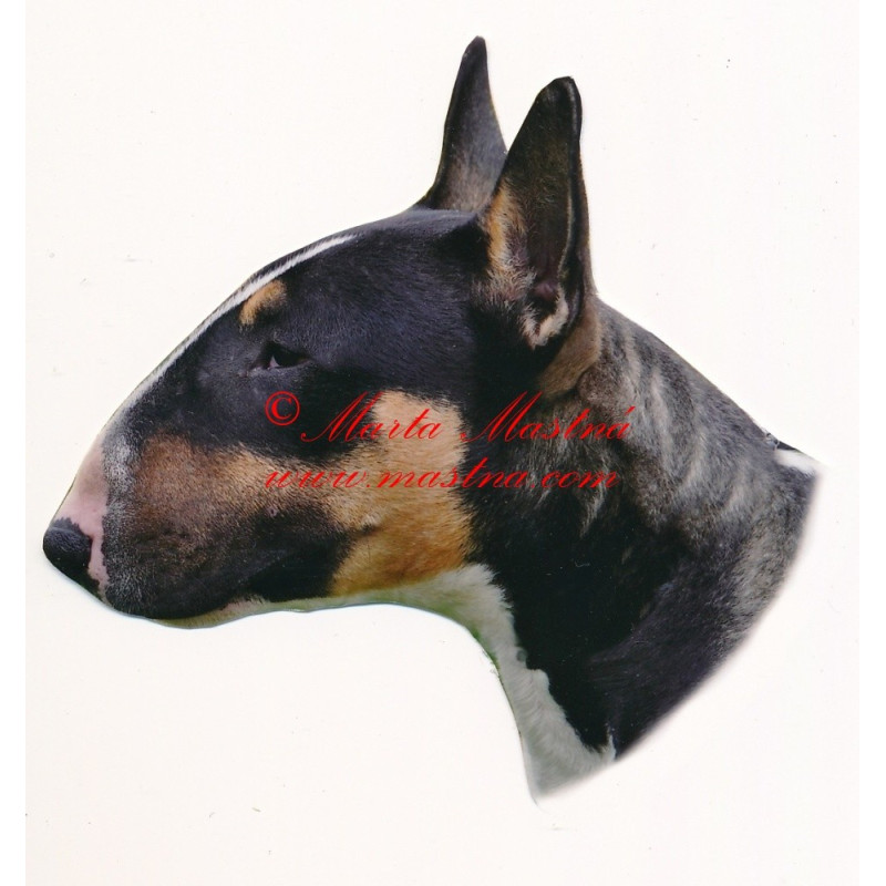 Samolepka bulteriér