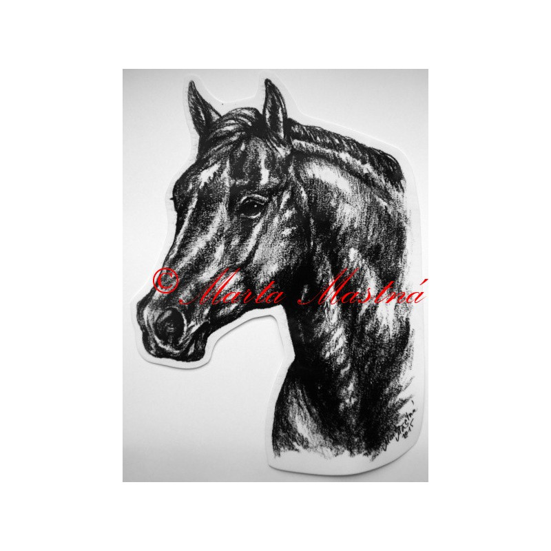 Samolepka kůň quarter horse, western