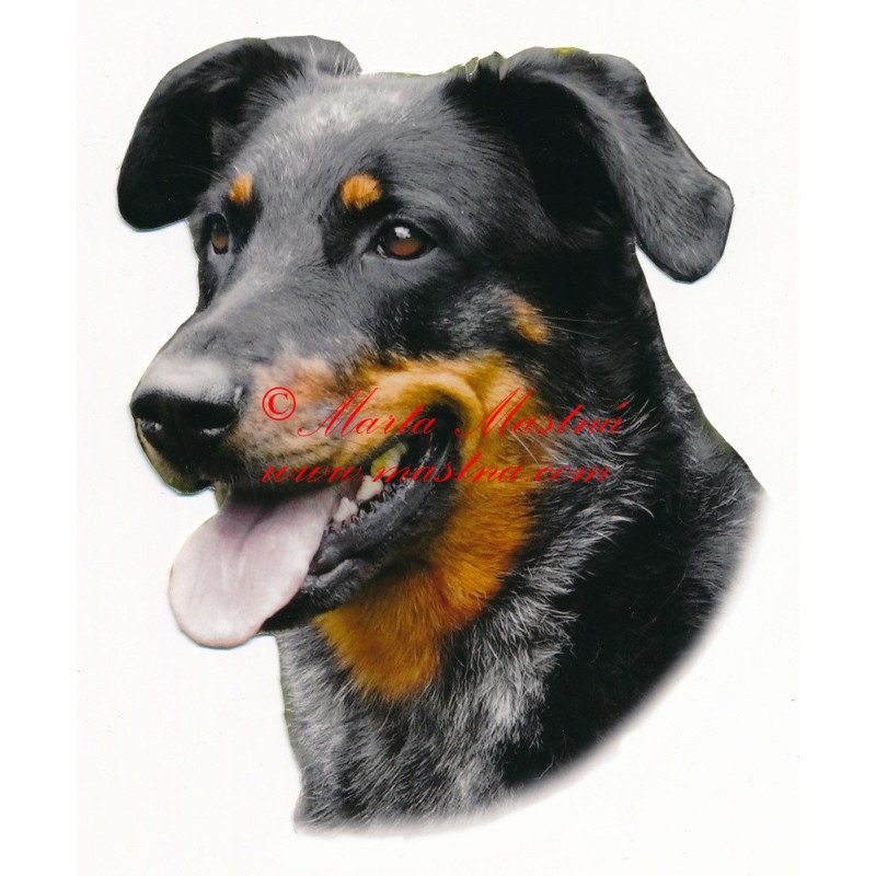Samolepka beauceron harlekýn