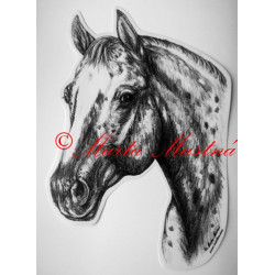 Samolepka kůň appaloosa, western