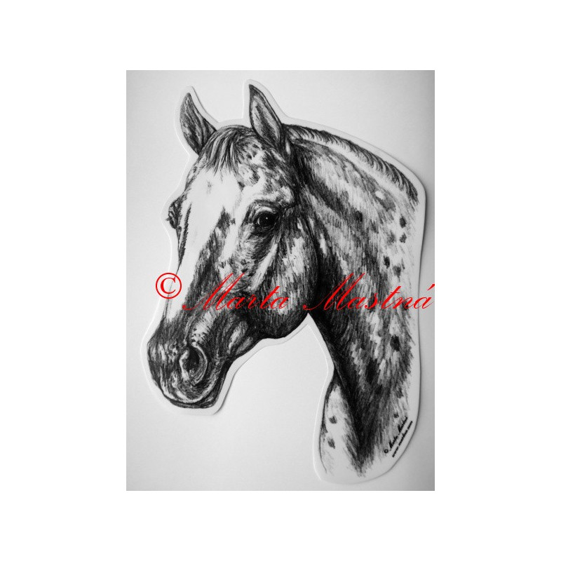 Samolepka kůň appaloosa, western