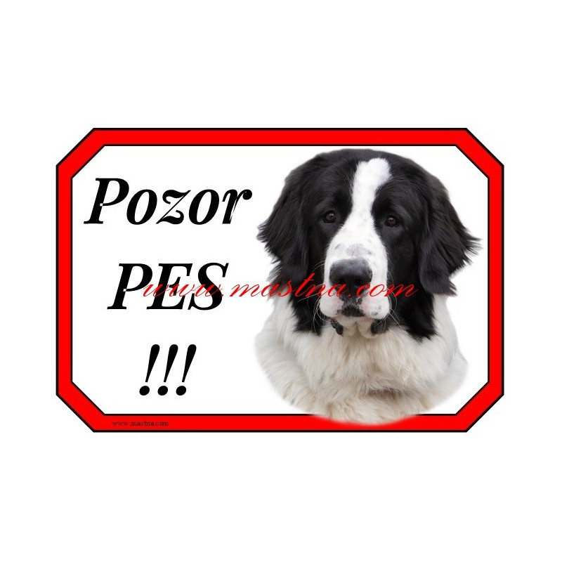 Cedulka rumunský ovčák bukovina, bucovina