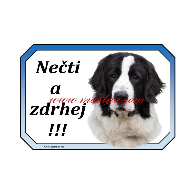 Cedulka rumunský ovčák bukovina, bucovina