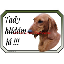 Cedulka jezevčík hladkosrstý