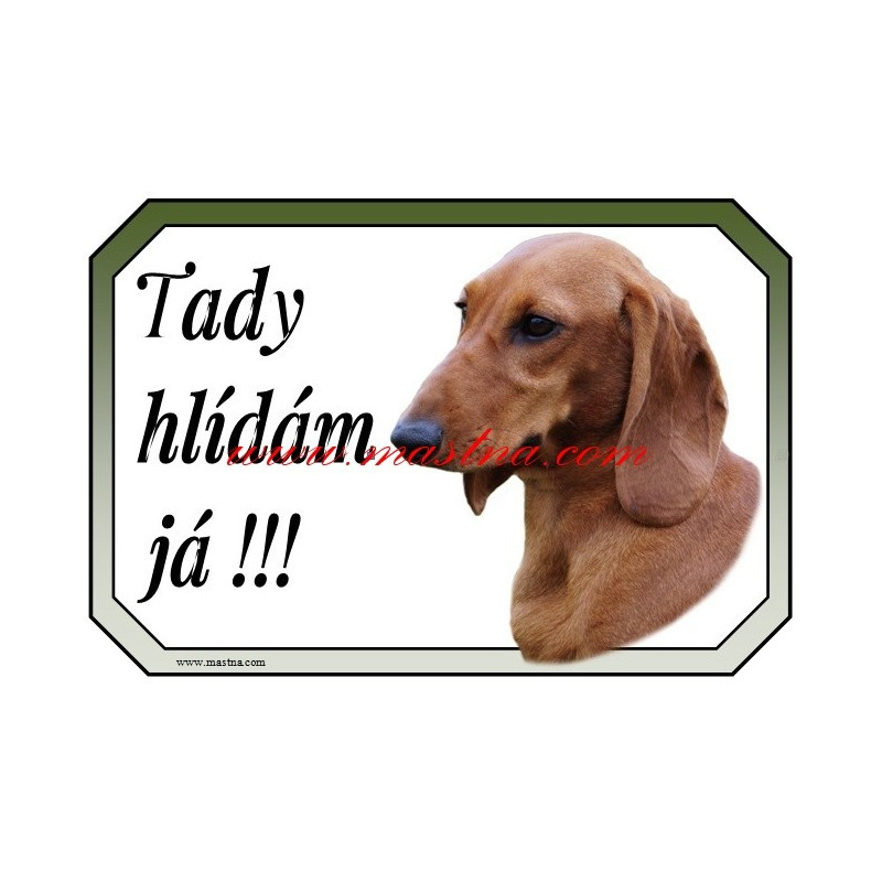 Cedulka jezevčík hladkosrstý