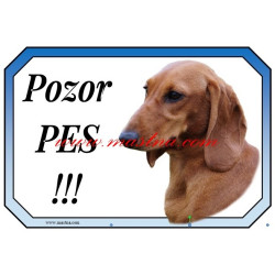 Cedulka jezevčík hladkosrstý