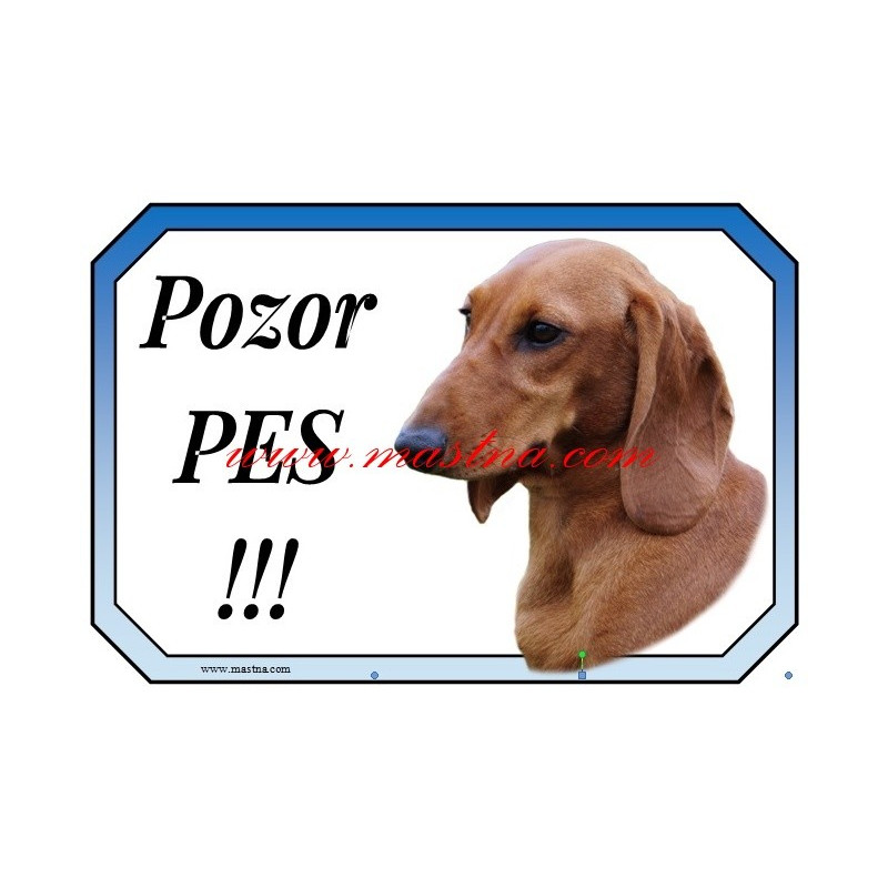 Cedulka jezevčík hladkosrstý