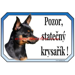 Cedulka pražský krysařík