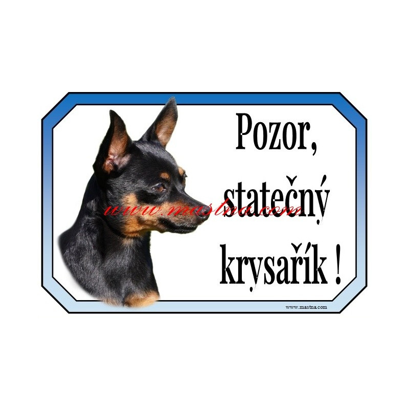 Cedulka pražský krysařík