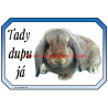 Cedulka králík zakrslý beránek