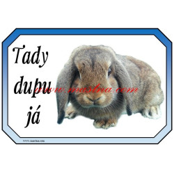 Tabulka králík zakrslý beran divoce zbarvený