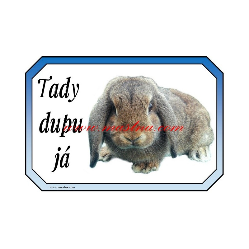 Tabulka králík zakrslý beran divoce zbarvený