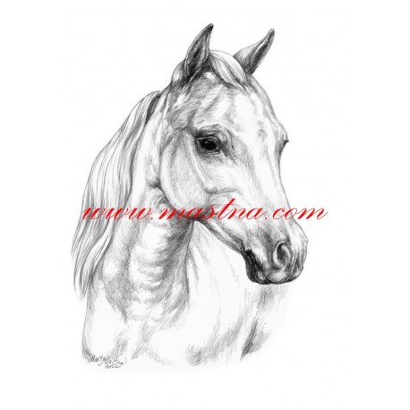 Obraz minihorse, kůň, pony, tužka - tisk