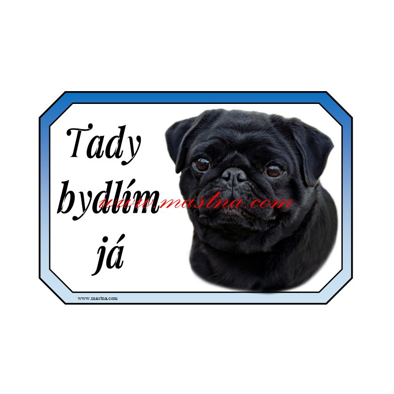 Cedulka mops černý