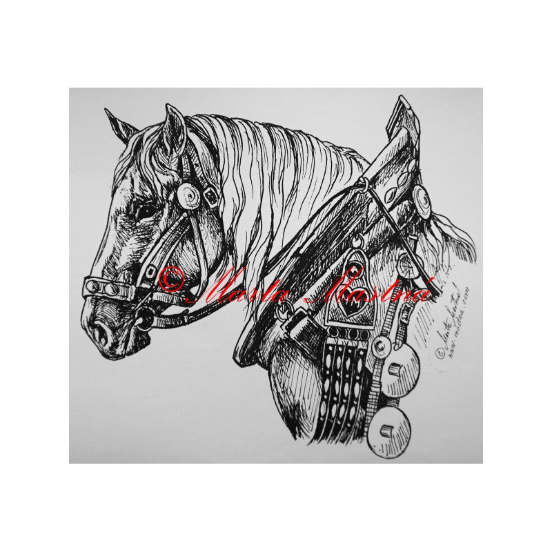Samolepka kůň chladnokrevník