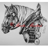 Samolepka kůň chladnokrevník