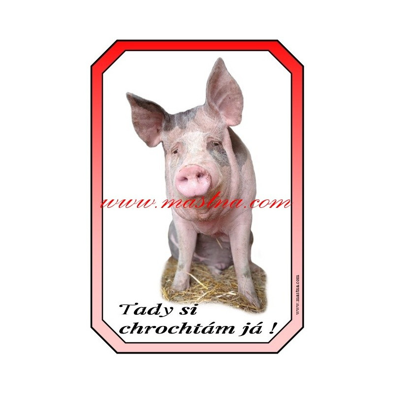 Cedulka prase bílé