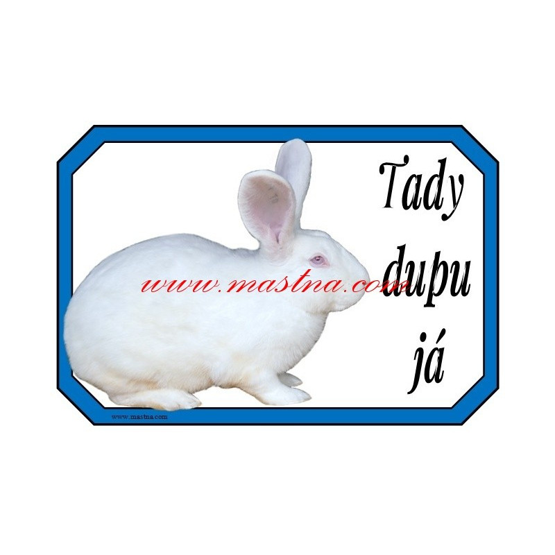Cedulka králík český albín