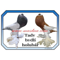 Cedulka holub český voláč