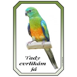 Cedulka papoušek zpěvavý