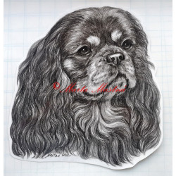 Samolepka kavalír king Charles španěl